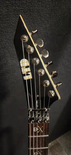 ESP Guitars - LKH202 2